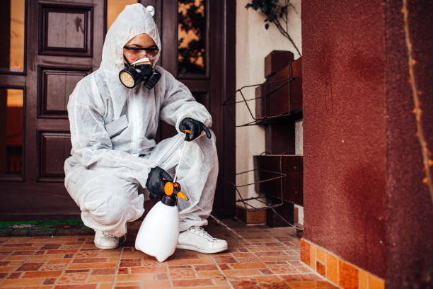 Reliable Cockroach Control contractor in Descanso, CA by Nex Pest Control